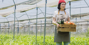 Woman outside in a market garden holding a box of vegetables