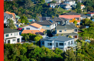 Aerial shot of houses in Wellington