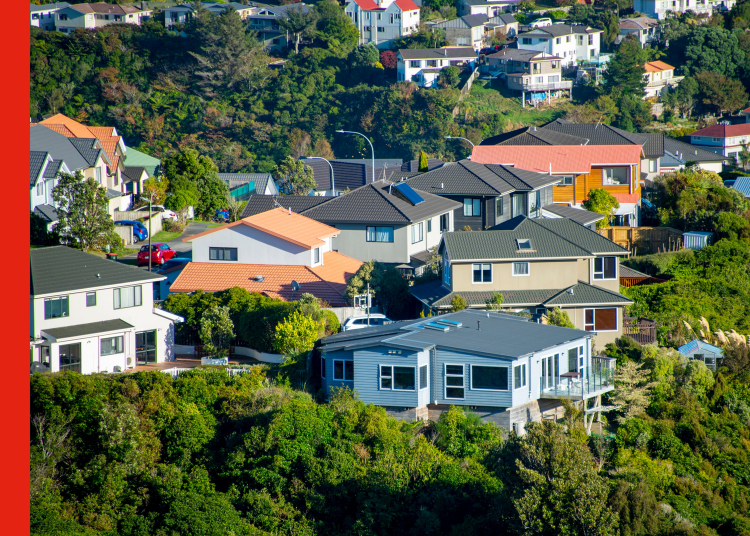 Aerial shot of houses in Wellington