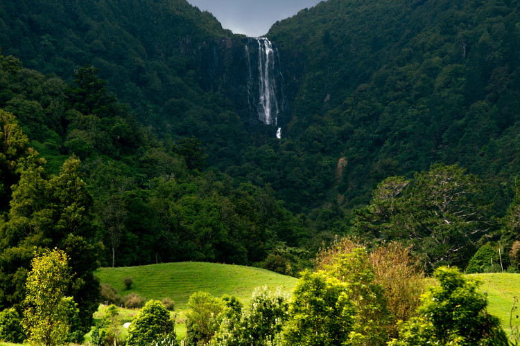 Wairere Falls near Te Aroha